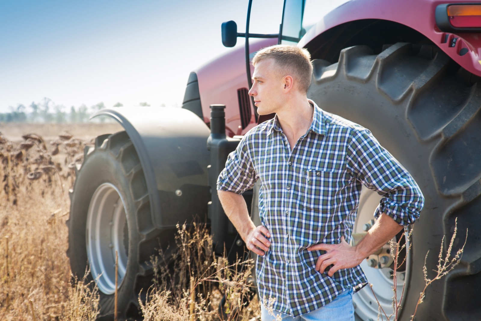 farmer.jpeg