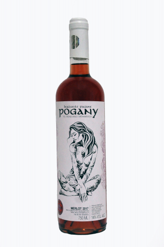 rosé-merlot-2017-rosé-demisec-5-4449.jpg